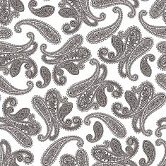 Paisley illustration pattern N37