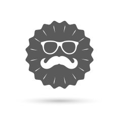 Mustache and Glasses sign icon Hipster symbol N3