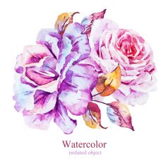 Watercolor vector flowers N2