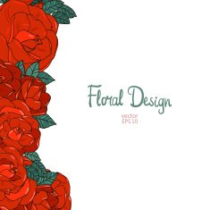 Vintage border with roses N7