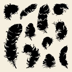 Beautiful Vintage Feathers N4