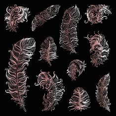 Beautiful Vintage Feathers N5