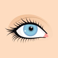 Open female eyes image with beautifully fashion make up N2