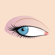 Open female eyes image with beautifully fashion make up N5