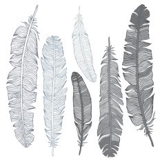 Beautiful Vintage Feathers N8