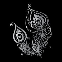 Beautiful peacock feathers N2