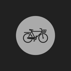 City Bicycle icon N9