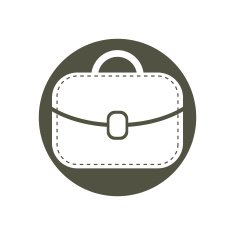 Bag Vector Icon N3