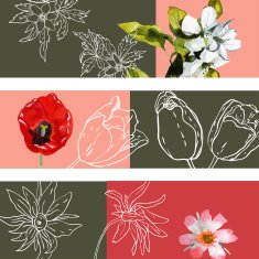 Set of banners with flowers It contains clipping mask