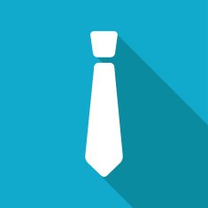Vector flat icon N4