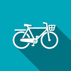 City Bicycle icon N14