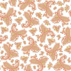 Paisley illustration pattern N39