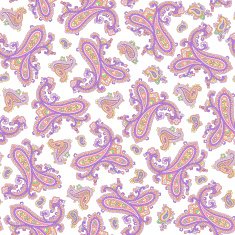 Paisley illustration pattern N40