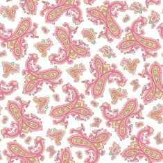 Paisley illustration pattern N41