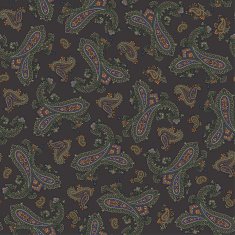 Paisley illustration pattern N42
