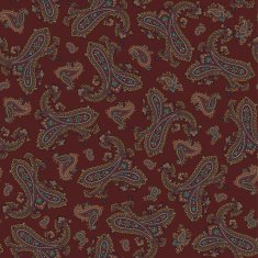 Paisley illustration pattern N44