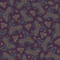 Paisley illustration pattern N45