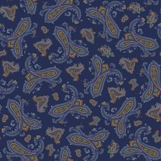 Paisley illustration pattern N46