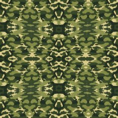 Military Camouflage N4
