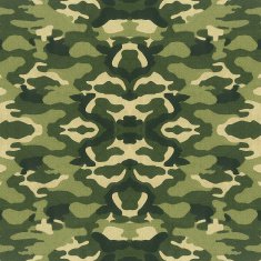 Military Camouflage N5