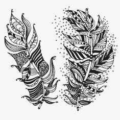 Vector set of feathers on a white background