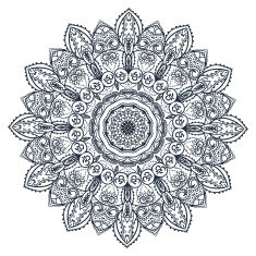 Beautiful card N77