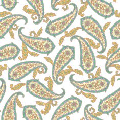Paisley illustration pattern N48