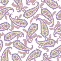 Paisley illustration pattern N49