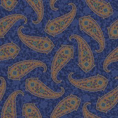 Paisley illustration pattern N51