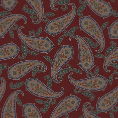 Paisley illustration pattern N52