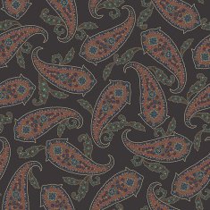Paisley illustration pattern N53