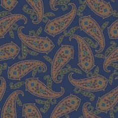 Paisley illustration pattern N54