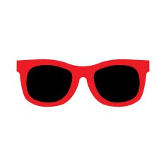 Sunglasses N21