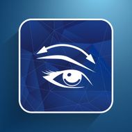 Eyelashes eyebrows vector eye icon makeup N2