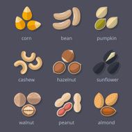 Nuts and seeds icon set