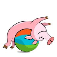 Pig exercising with a pilates ball N3