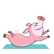 Happy pig practicing yoga pose