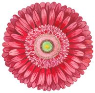 Red watercolor gerbera N2