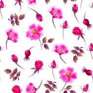 Hand drawn wild rose seamless pattern in bright pink color
