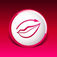 Applying lipstick using lip concealer brush isolated icon N4