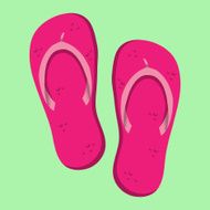 Flip Flops N9