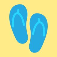 Flip Flops N17