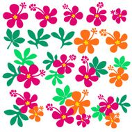 Hibiscus flower illustration N4