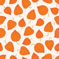 Seamless pattern with physalis