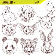 Set of hand drawn animals vector illustration