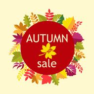 Vector background Autumn Sale