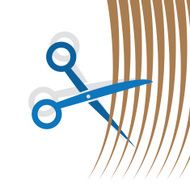 Scissors Cutting Hair