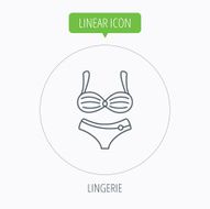 Lingerie icon Women underwear sign N26
