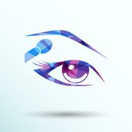 vector with beautiful female eyes different makeup N5