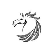 Vector silhouette of a horse head N2